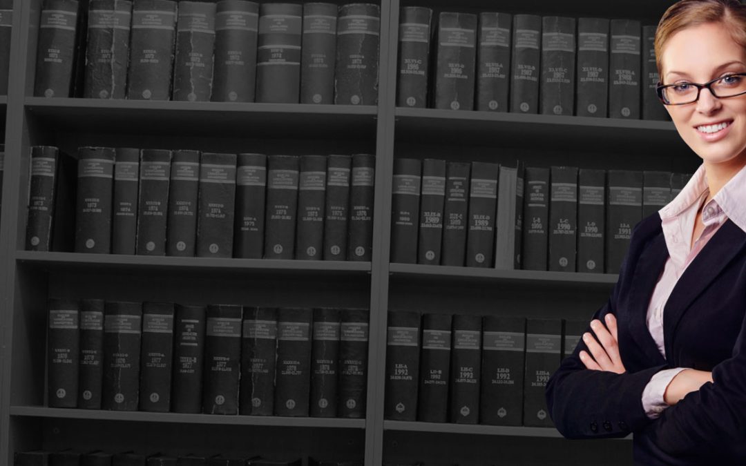 Case Summary – Criminal M.A No.8715/2024